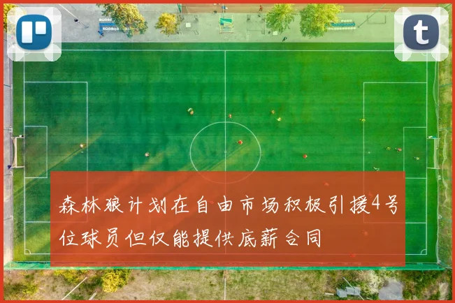 森林狼计划在自由市场积极引援4号位球员但仅能提供底薪合同
